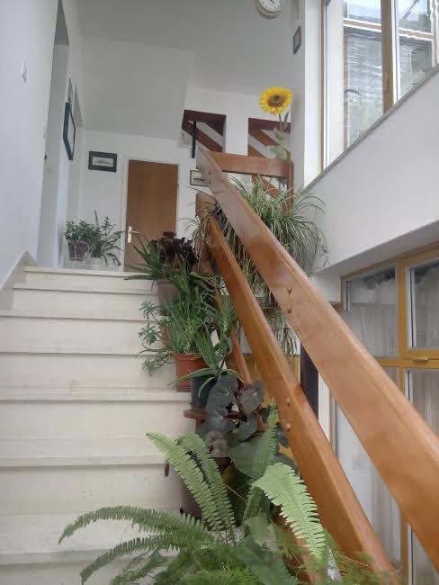 Apartmani Zuban Primosten Bagian luar foto